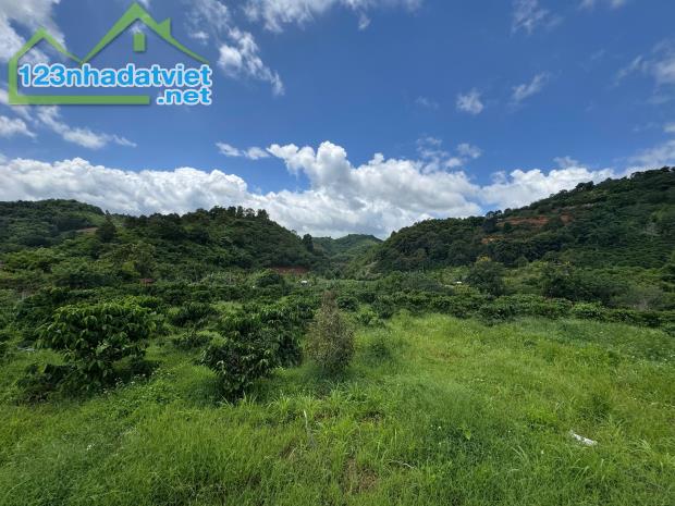 🔥 10 HECTA ĐẤT RẪY HÒA PHÚ – CÁCH ĐƯỜNG TRÁNH ĐÔNG CHỈ 600M | GIÁ 30 TỶ - 2
