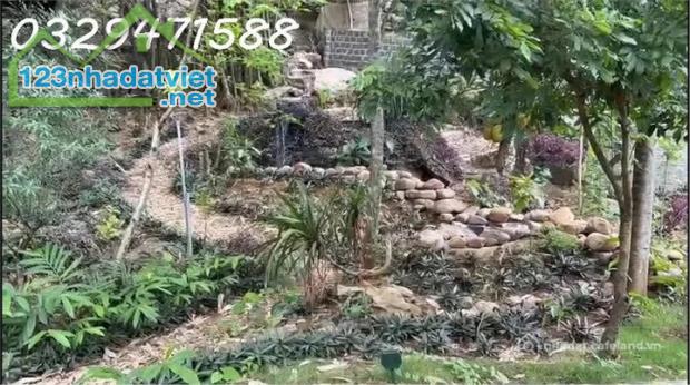 🌻Cho thuê nhà vườn tại xã Lạc Lương (H.Yên Thuỷ, Hoà Bình), nay là Phú Thọ. 0329471588 - 2