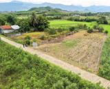 Bán đất Khánh Bình giá rẻ có thổ cư sát bên Tỉnh Lộ 8 - tặng vườn cây trái view cánh đồng