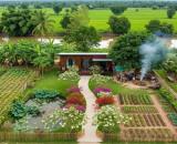 BÁN ĐẤT ,ĐƯỜNG Ô TÔ , 230m², VỊ TRÍ ĐẸP, NGAY CHỢ, 10 X 22M ,GIÁ TỐT
