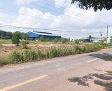 KẸT TIỀN SANG GẤP 10X50M=500M2 ĐẤT GẦN CHỢ, KCN DÂN CƯ ĐÔNG GIÁ 750TR