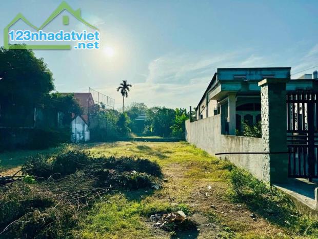 Bán nhanh 100m2 đất Thái Mỹ, củ chi 1.4 tỷ - 1