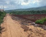 CẦN BÁN ĐẤT ĐẸP TÂN HỘI – LÂM ĐỒNG