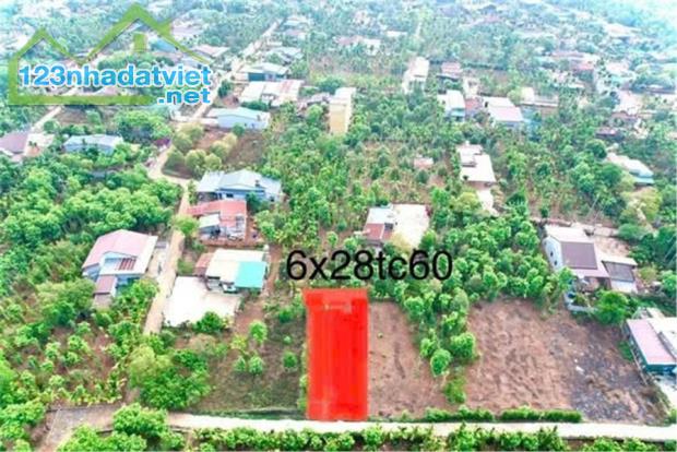 ĐẤT ĐẸP GIÁ TỐT – BÁN LÔ ĐẤT THÔN 7, xã Ea Tiêu, huyện Cư Kuin, Đắk Lắk - 2