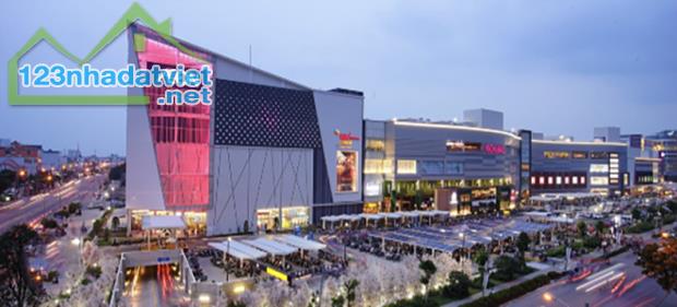 Đất SHR Full Thổ Cư ngay Chợ Bà Hom, 65m2m, 2,65 tỷ - 4