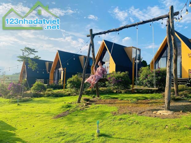 🍂 KHI MỘT MẢNH ĐẤT CÓ THỂ TRỞ THÀNH KÝ ỨC CỦA GIA ĐÌNH - 1