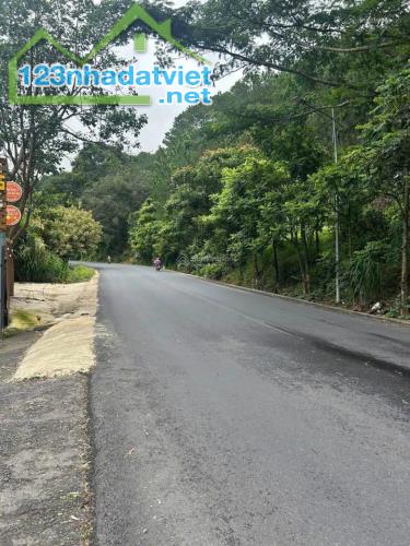 BÁN ĐẤT 2589M2 TÔ HIẾN THÀNH ĐÀ LẠT CHỈ HƠN 12TR/M2