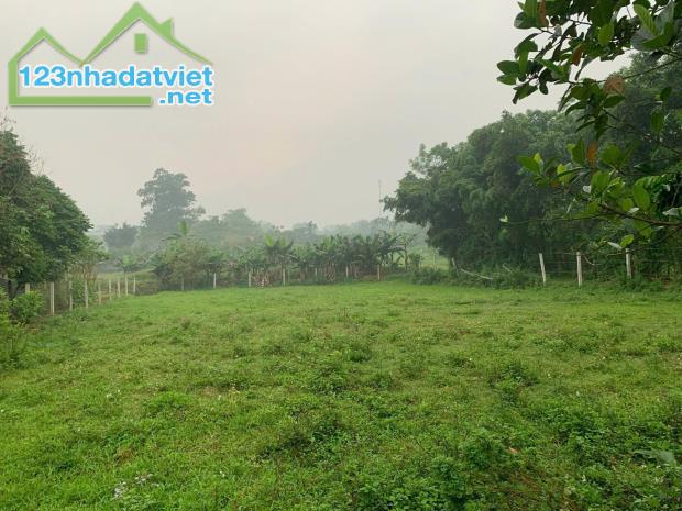 Cần bán nhanh 1.100m² đất view đẹp tại ba vì - làm homestay, second home -7 tỷ