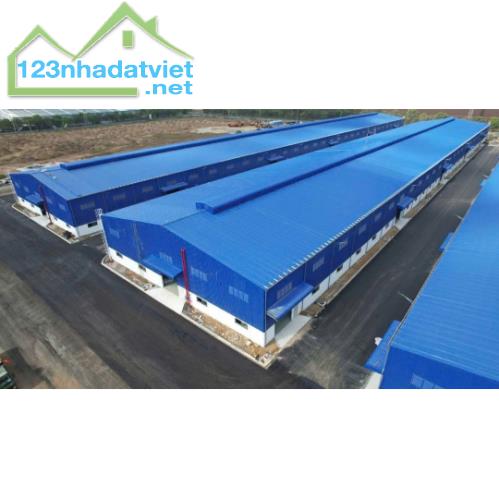 Cho Thuê Kho Xưởng KCN Phú Mỹ - Diện tích lớn từ 10.000m2 đến 120.000m2