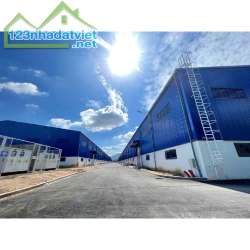 Cho Thuê Kho Xưởng KCN Phú Mỹ - Diện tích lớn từ 10.000m2 đến 120.000m2 - 3