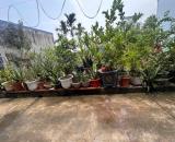 🔥 3 MẢNH ĐẤT 45M² – ĐỒNG LẬP, ĐỒNG HÒA – TỪ 1 TỶ 2 ĐẾN 1 TỶ 6 🔥  📐 Diện tích: 45m²/mảnh