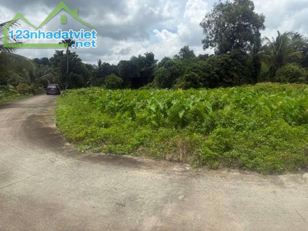 Đất xã Bình Mỹ - Củ Chi ngay cầu Vàm Thầy cách TL9 chỉ 200m DT: 3868m² ,có 830m² thổ cư