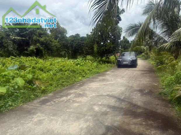 Đất xã Bình Mỹ - Củ Chi ngay cầu Vàm Thầy cách TL9 chỉ 200m DT: 3868m² ,có 830m² thổ cư - 1