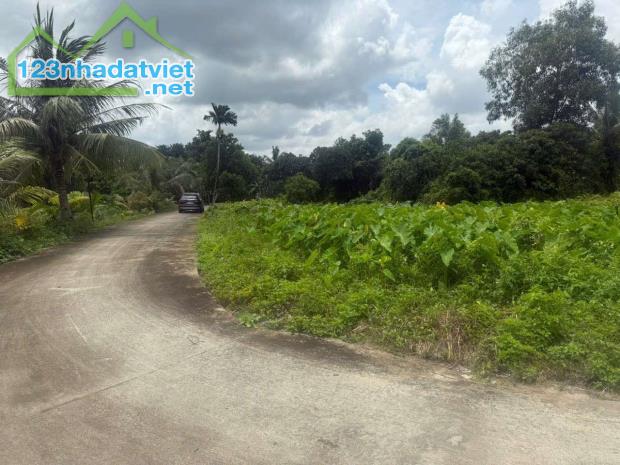 Đất xã Bình Mỹ - Củ Chi ngay cầu Vàm Thầy cách TL9 chỉ 200m DT: 3868m² ,có 830m² thổ cư - 2
