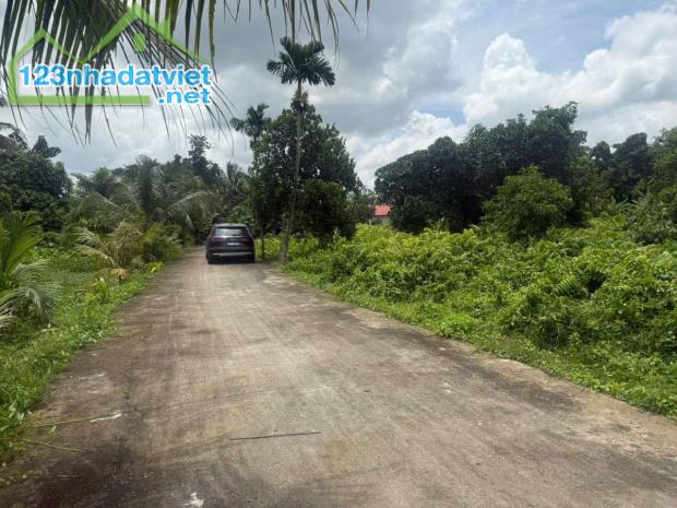 Đất xã Bình Mỹ - Củ Chi ngay cầu Vàm Thầy cách TL9 chỉ 200m DT: 3868m² ,có 830m² thổ cư - 3