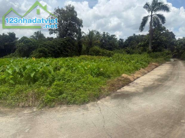Đất xã Bình Mỹ - Củ Chi ngay cầu Vàm Thầy cách TL9 chỉ 200m DT: 3868m² ,có 830m² thổ cư - 4
