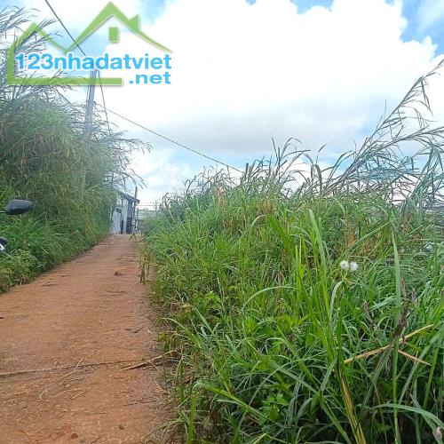 Cần bán đất tại Cao Thắng view thoáng đãng 299m2, giá 8,3 tỷ - 2