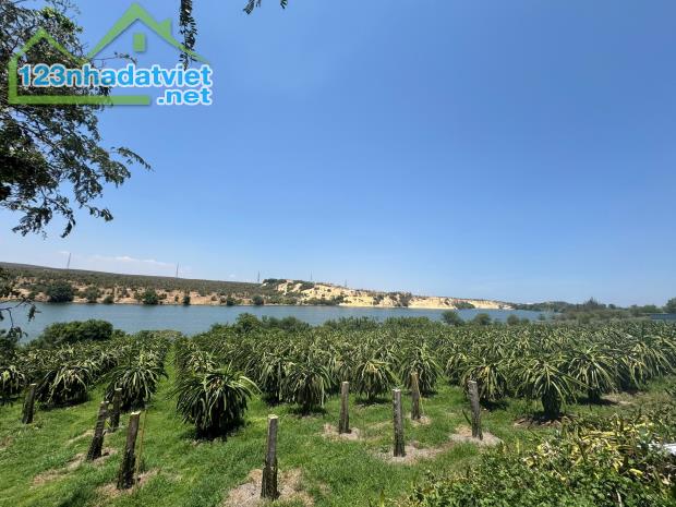 Đất Ngộp mặt tiền DT716-View Bàu Sen-Hoà Thắng(Bắc Bình)-Lâm Đồng-680m2+3.670m2 - 2