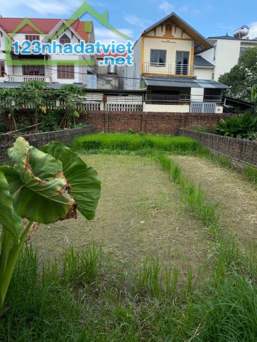CẦN BÁN NHANH LÔ ĐẤT 105M TẠI BẢO HÀ, LÀO CAI. MẶT TỈNH LỘ. GIÁ CHỈ 1.7 TỶ CÓ THƯƠNG LƯỢNG - 1