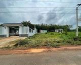 Cần bán gấp 1.200m2 sổ sẳn công chứng ngay khu dân đông