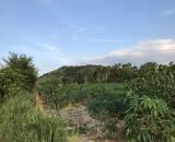 Bán 8863m2 siêu rẻ 160k/m2, xã Tân Minh, Lâm Đồng, sát bên cao tốc, KCN Tân Đức Sonadez