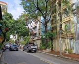 Cho thuê nhà phân lô Trung Yên, 75m2, 5 tầng, ô tô đỗ cửa, làm văn phòng.