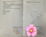 Bán đất Hoà Nghĩa - Dương Kinh - Hải Phòng
