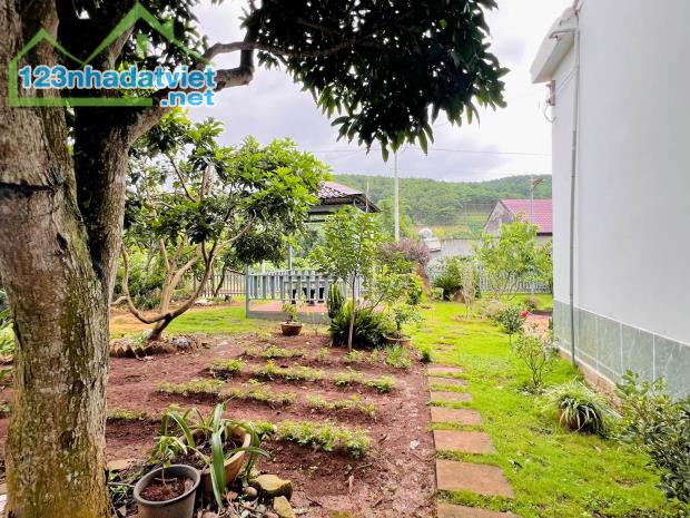 Cần Bán Nhà Đất 987m² Có Sẵn Nhà Cấp 4, Giáp Đồi Thông, Giá 4,7 Tỷ - 2