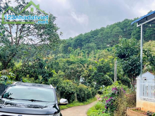 Cần Bán Nhà Đất 987m² Có Sẵn Nhà Cấp 4, Giáp Đồi Thông, Giá 4,7 Tỷ - 3