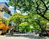MẢNH ĐẤT VÀNG ĐỘI CẤN TT BA ĐÌNH SÓT LẠI 40M NHỈNH 8 TỶ