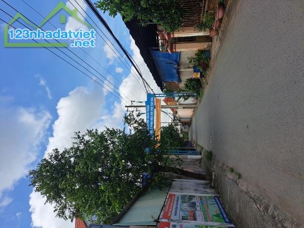 Bán Đất Căn Góc 2 Mặt Tiền Đường Hoàng Cầm, Dĩ An - Đường Container - 314m² Giá 10.5 Tỷ - 3