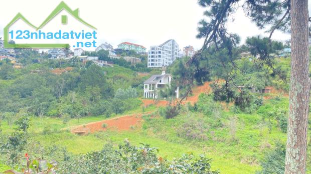 E đang có 8.000m2 hẻm khe sanh, p10 - đà lạt, lâm đồng - 1