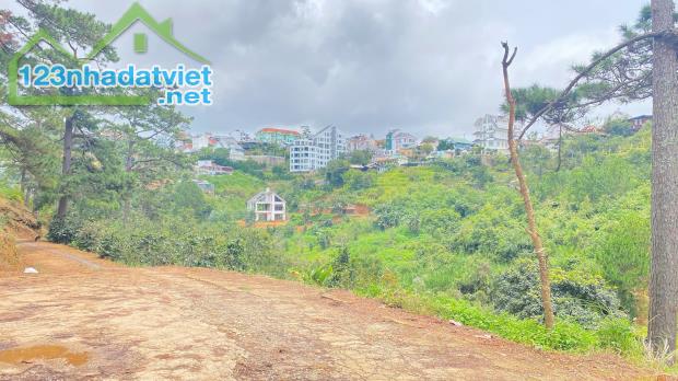 E đang có 8.000m2 hẻm khe sanh, p10 - đà lạt, lâm đồng - 2