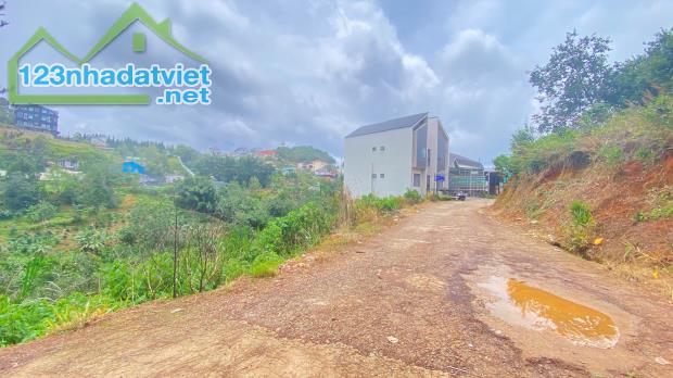 E đang có 8.000m2 hẻm khe sanh, p10 - đà lạt, lâm đồng - 3