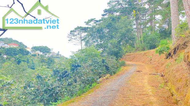 E đang có 8.000m2 hẻm khe sanh, p10 - đà lạt, lâm đồng - 4