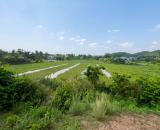 L2977* ĐẤT LÀM NHÀ VƯỜN ĐỈNH cạnh NGUYỄN THỊ RÀNH, NHUẬN ĐỨC, CỦ CHI - GIÁ 10.X TỶ