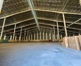 🏭 KHO LƯU TRỮ CHO DOANH NGHIỆP – LINH HOẠT DIỆN TÍCH, DỄ MỞ RỘNG