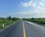 Bán 12m x 88m đất thổ cư Lương Định Của, Tân Bình, LaGi giá ngộp 1.8 tỷ