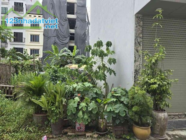 BÁN LÔ ĐẤT NGỌC THỤY – 30M² – ĐƯỜNG 7M – HAI THOÁNG – 9,6 TỶ - 3