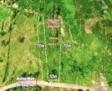 Lâm Đồng bán đất sào sẵn TC nở hậ view đẹp giáp sông cách QL28 1km ô tô tận nơi  giá 1,1ty