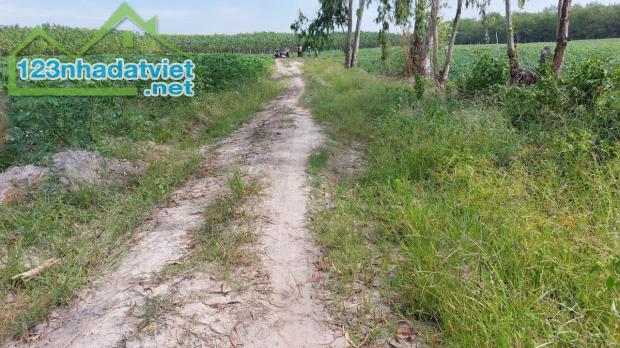 Tân Biên, Tây Ninh bán lô đất sào ngang 15m, sổ sẵn công chứng giá 179tr