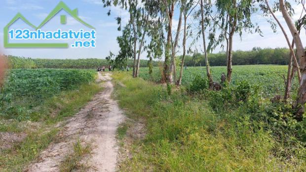 Tân Biên, Tây Ninh bán lô đất sào ngang 15m, sổ sẵn công chứng giá 179tr - 1