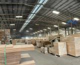 Bán nhà xưởng 57.000m2 đất SKC gần kcn Tân Uyên Bình Dương giá 300 tỷ