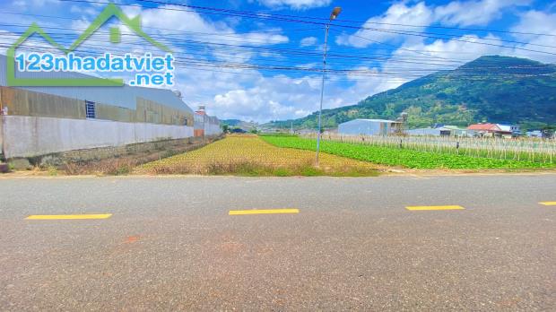 Đất mặt tiền nhựa - nhánh ql20 - hiệp an/ ven đà lạt - 1