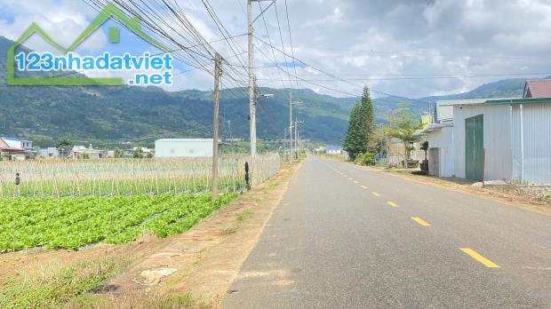 Đất mặt tiền nhựa - nhánh ql20 - hiệp an/ ven đà lạt - 2