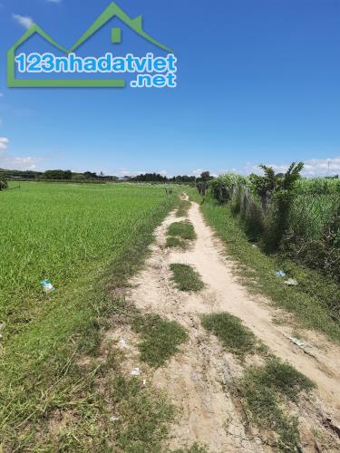 Cần tiền bán đất xã Phan Rí Thành, Bắc Bình, Bình Thuận. - 1