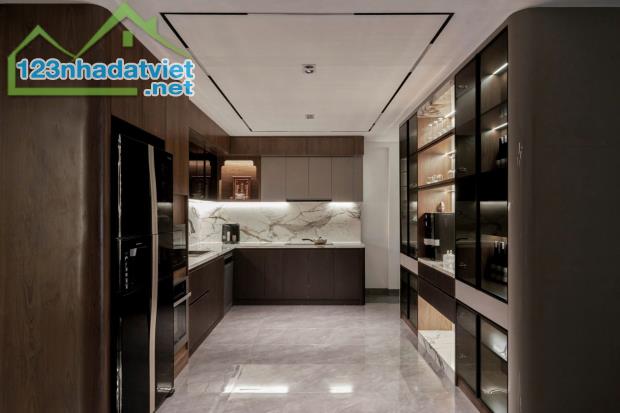 Chính chủ bán Sky Villa Diamond Alnata - Celadon City 208m2, gara 2 ô tô, full nội thất - 2