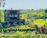 Chủ ngộp bán đất nghỉ dưỡng view hồ sát bên đồi chè tâm châu sổ sẵn giá cực ngộp
