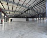 ĐÀ NẴNG CHO THUÊ XƯỞNG SẢN XUẤT 4.500m² PCCC TỰ ĐỘNG