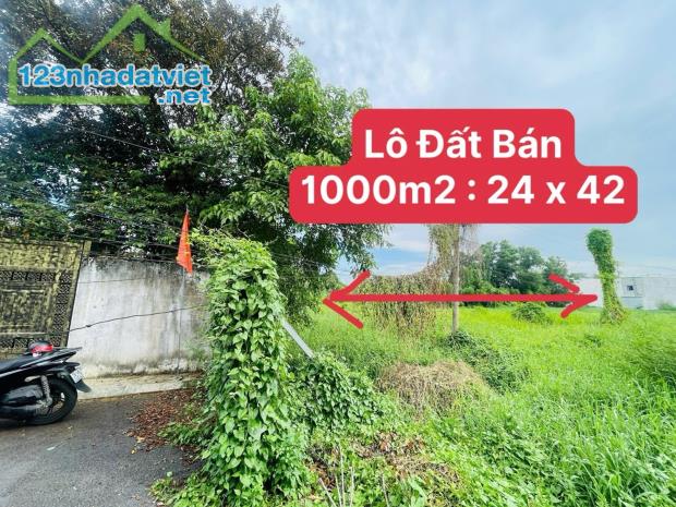 Bán Đất Thanh Xuân 52 q12 [ 24 x 42 ] chỉ 13 ,5 tỷ - 2
